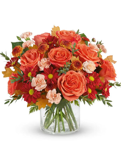 Radiant Autumn Stroll